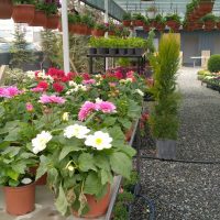 WhatsApp Image 2021-05-01 at 13.05.42