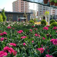 WhatsApp Image 2021-05-01 at 13.05.46