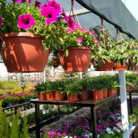 WhatsApp Image 2021-05-01 at 13.05.50