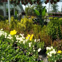 WhatsApp Image 2021-05-01 at 13.05.54