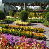 WhatsApp Image 2021-05-01 at 13.06.00