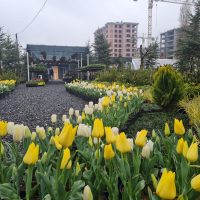 WhatsApp Image 2021-05-01 at 13.06.21