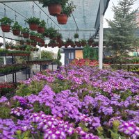 WhatsApp Image 2021-05-01 at 13.06.22