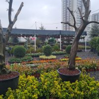 WhatsApp Image 2021-05-01 at 13.06.24