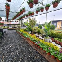 WhatsApp Image 2021-05-01 at 13.06.28