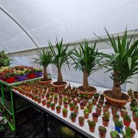 WhatsApp Image 2021-05-01 at 13.06.32