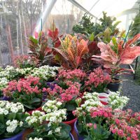 WhatsApp Image 2021-05-01 at 13.06.39