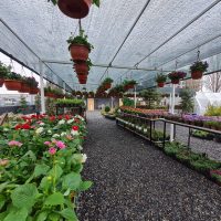 WhatsApp Image 2021-05-01 at 13.06.43