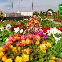 WhatsApp Image 2021-05-01 at 13.07.04