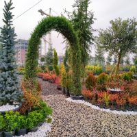 WhatsApp Image 2021-05-01 at 13.07.07